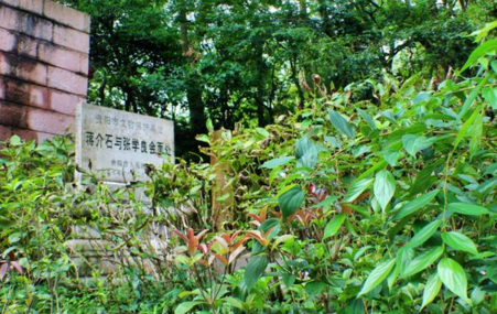 黔靈山公園旅游  黔靈山公園門票是多少