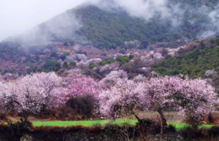 林芝旅游攻略 林芝旅游最佳季節