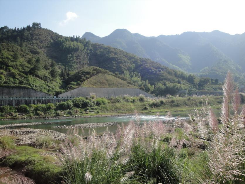 麗水龍泉市小梅鎮金村旅游攻略