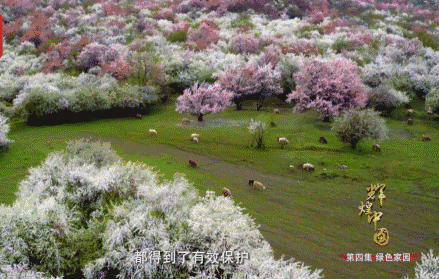 中国这些仙境美到窒息图片
