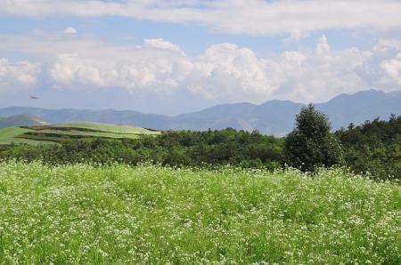 东川红土地最佳旅游时间 东川红土地好玩吗