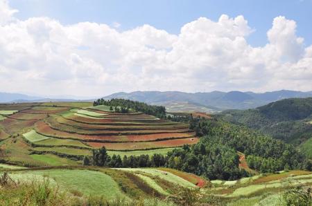 东川红土地最佳旅游时间 东川红土地好玩吗