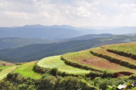 东川红土地最佳旅游时间 东川红土地好玩吗