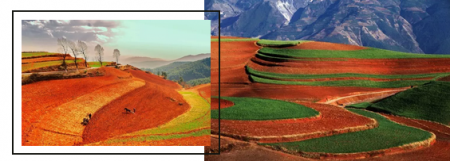 东川红土地最佳旅游时间 东川红土地好玩吗
