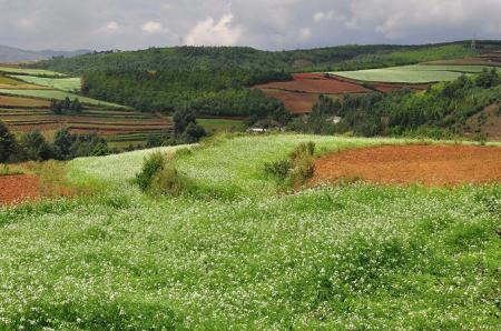 东川红土地最佳旅游时间 东川红土地好玩吗