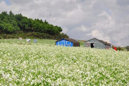 东川红土地最佳旅游时间 东川红土地好玩吗