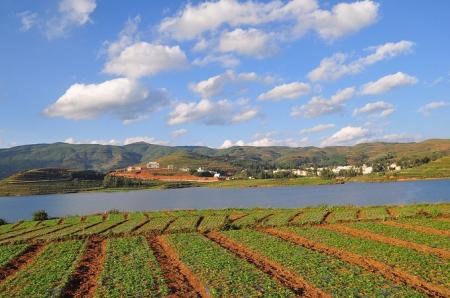 东川红土地最佳旅游时间 东川红土地好玩吗