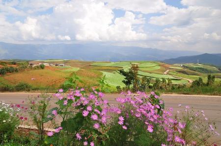 东川红土地最佳旅游时间 东川红土地好玩吗