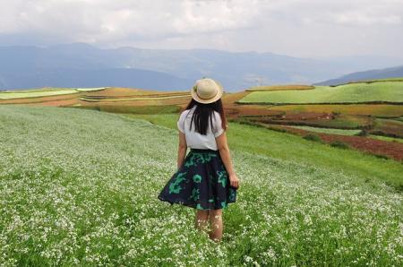 东川红土地最佳旅游时间 东川红土地好玩吗