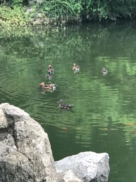 南京旅游美景图片 南京旅游景点照片