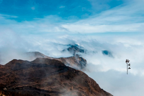 轎頂山景區(qū)怎么樣  轎頂山景區(qū)游記