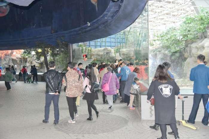 北京動物園門票學生多少錢