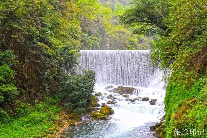 水上森林在哪 水上森林攻略