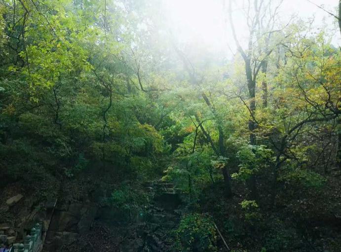 香山好玩嗎 香山怎么玩