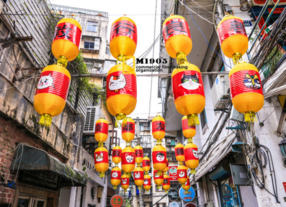 國內貓咪主題博物館在哪 貓咪主題博物館有多少種類的貓