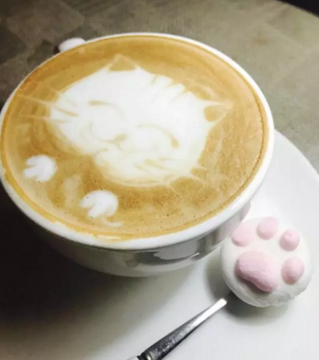 武汉有哪些猫咖啡店 武汉哪些猫咖啡店有颜值高的猫