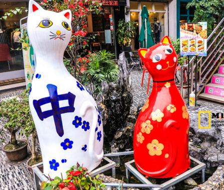 國內貓咪主題博物館在哪 貓咪主題博物館有多少種類的貓