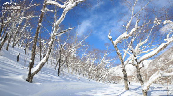 长白山滑雪多少钱 长白山旅游滑雪攻略