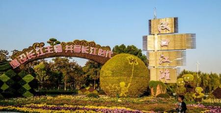 2017汉口江滩新景点菊花造景