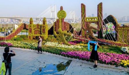 2017汉口江滩新景点菊花造景