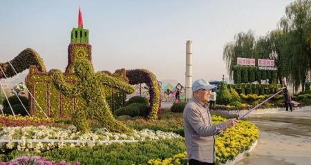 2017汉口江滩新景点菊花造景