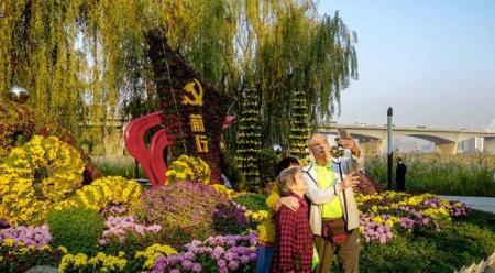 2017汉口江滩新景点菊花造景