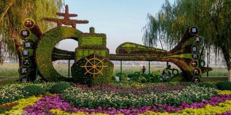 2017汉口江滩新景点菊花造景