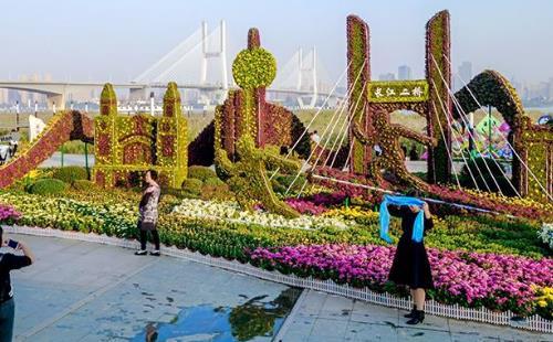 2017汉口江滩新景点菊花造景