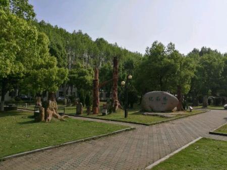 中国地质大学(武汉)化石林