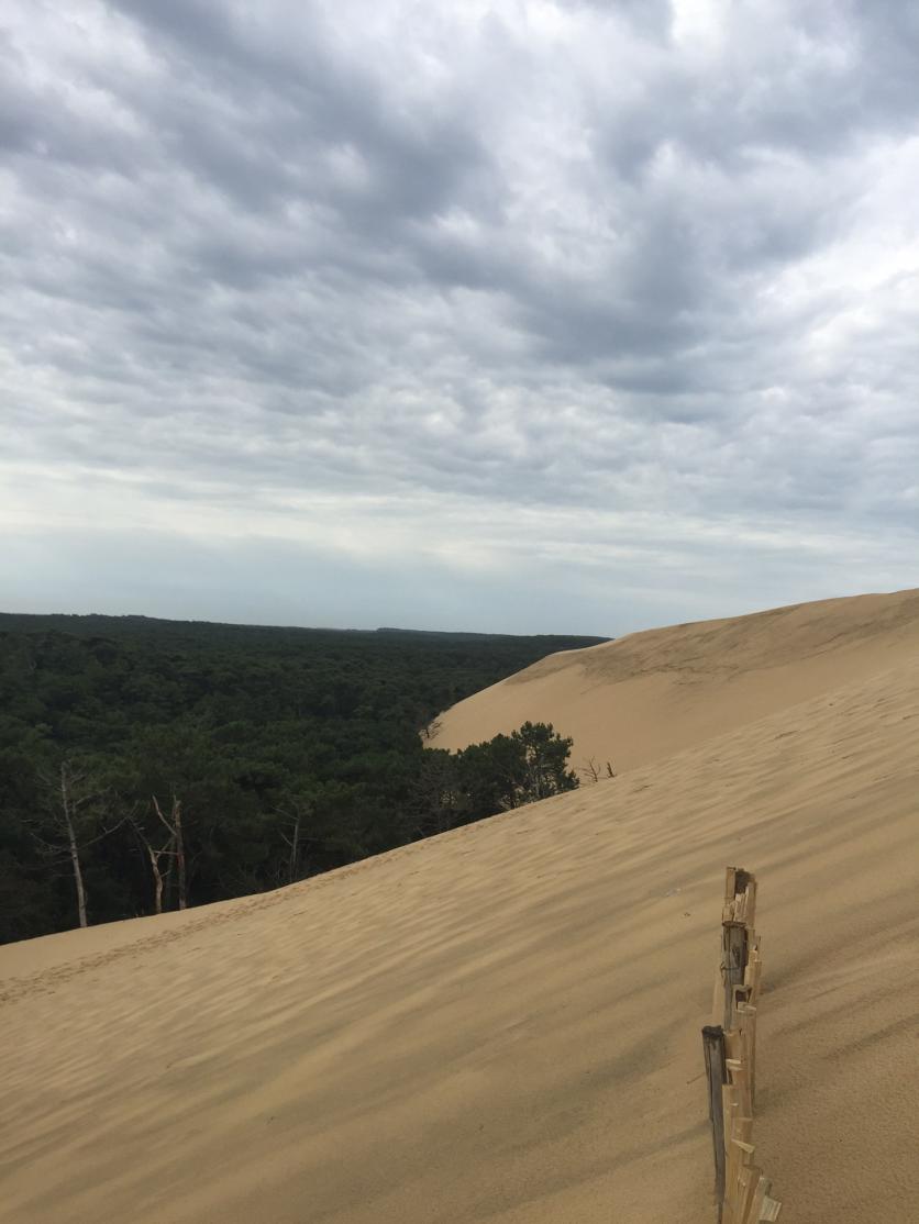 法國波爾多旅游攻略