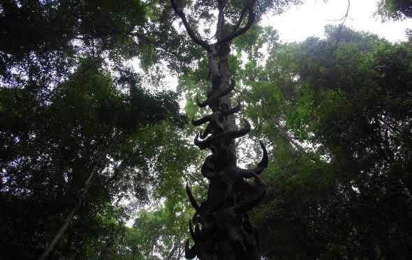 西盟佤山秘境游記