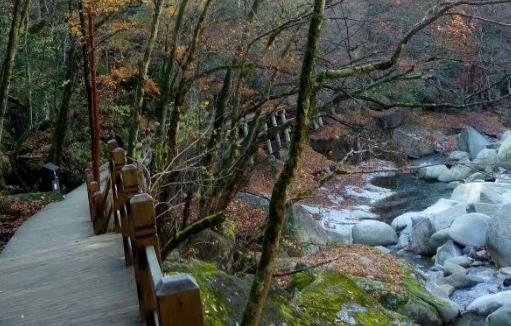 2017光霧山紅葉節門票+時間+地點