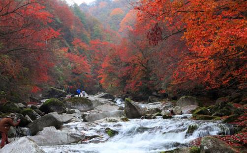 光霧山紅葉最佳時間 光霧山紅葉什么時候紅