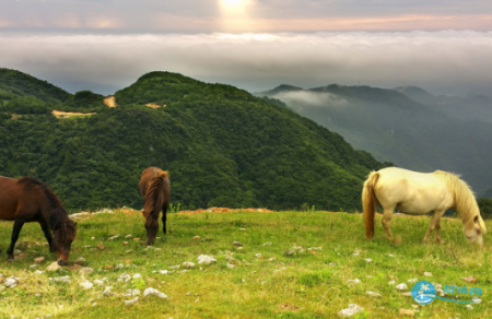 宜昌有哪些旅游景点 宜昌必游景点