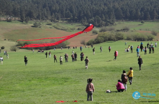 怎么去仙女山森林公園 仙女山森林公園攻略