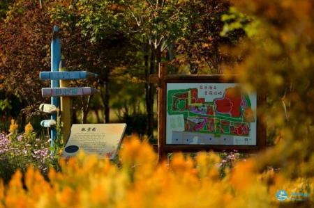 花开海上生态园收费吗【地址+最佳赏枫叶时间+门票价格】