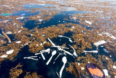 潜水胜地为何变垃圾之海  能否复原