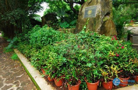 雷瓊世界地質公園門票 雷瓊地質公園門票多少錢