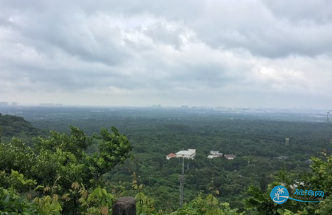 雷琼地质公园怎么去 雷琼地质公园在哪