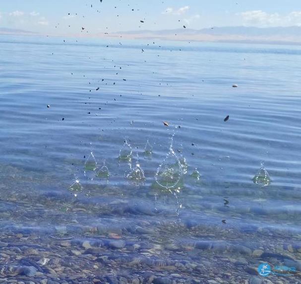 青海湖一日游攻略 青海湖一日游游記