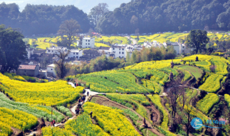 婺源江岭景区门票 婺源江岭游玩攻略