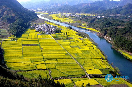 齊云山周邊有哪些好去處