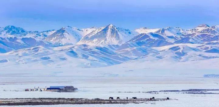 国内适合看雪的地方大全