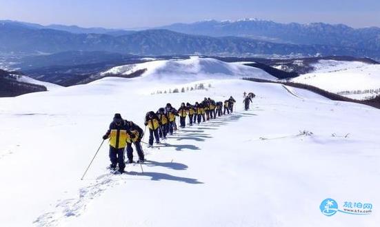 2021日本冬季旅游攻略 冬季日本旅游推荐