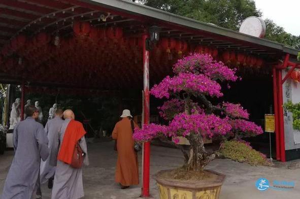 台湾玄空法寺在哪里 台湾玄空法寺旅游攻略