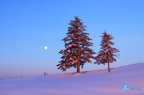 羊草山日出攻略 雪鄉羊草山看日出