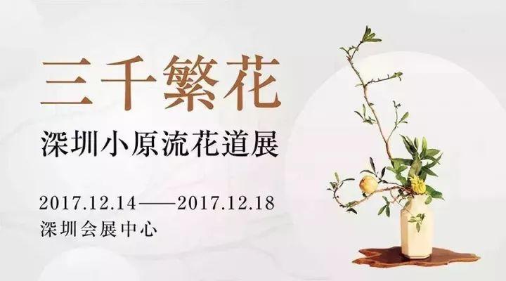 2017深圳國際茶文化創意藝術節