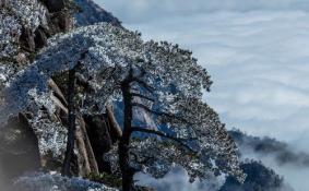 冬天去黄山怎么样危险吗 冬天去黄山门票降价