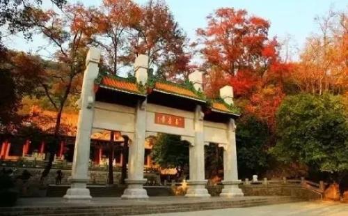 新会圭峰山枫叶最佳观赏时间+自驾游攻略