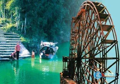 河源万绿湖龙凤岛红叶枫叶观赏推荐
